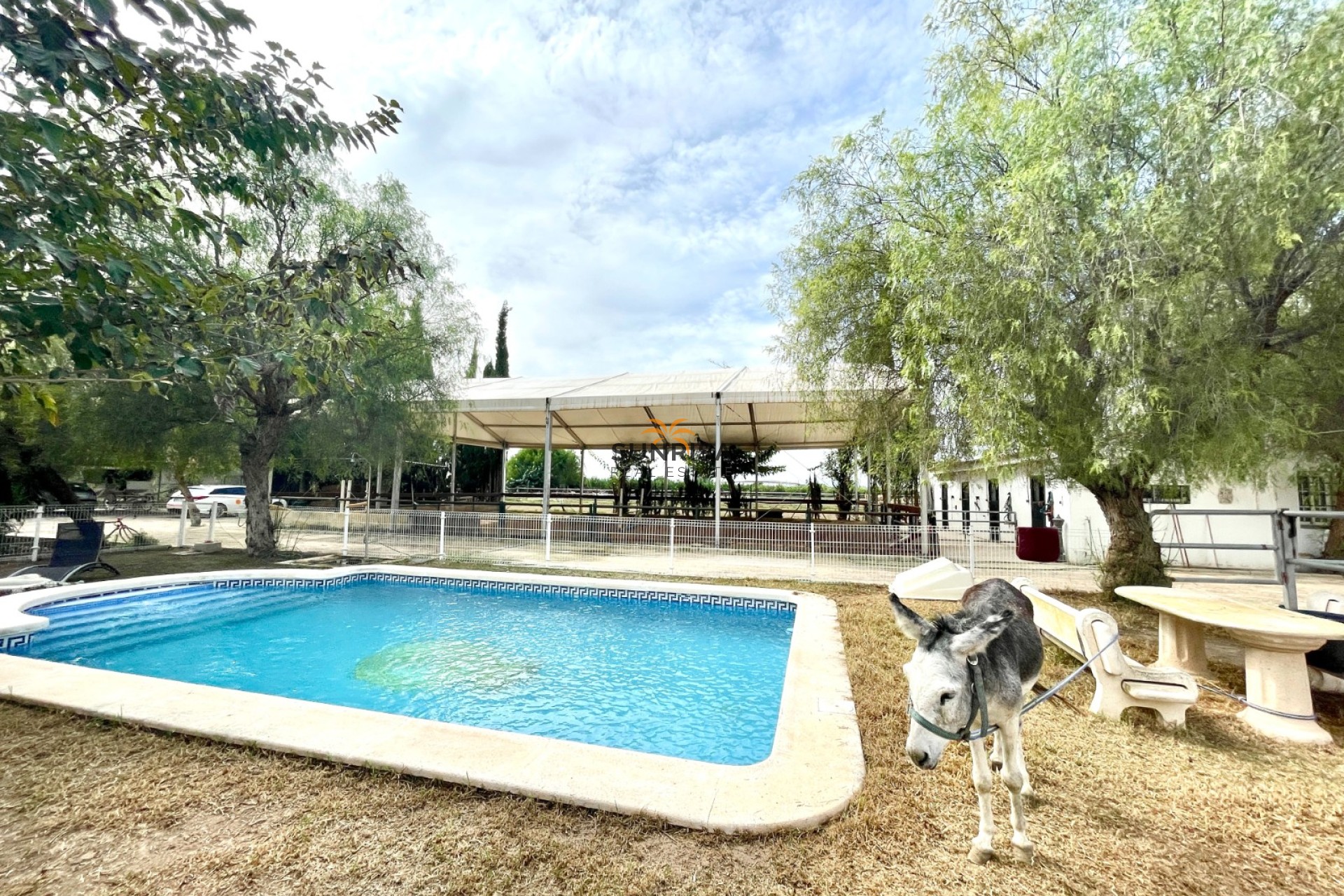 Revente - Finca - Orihuela