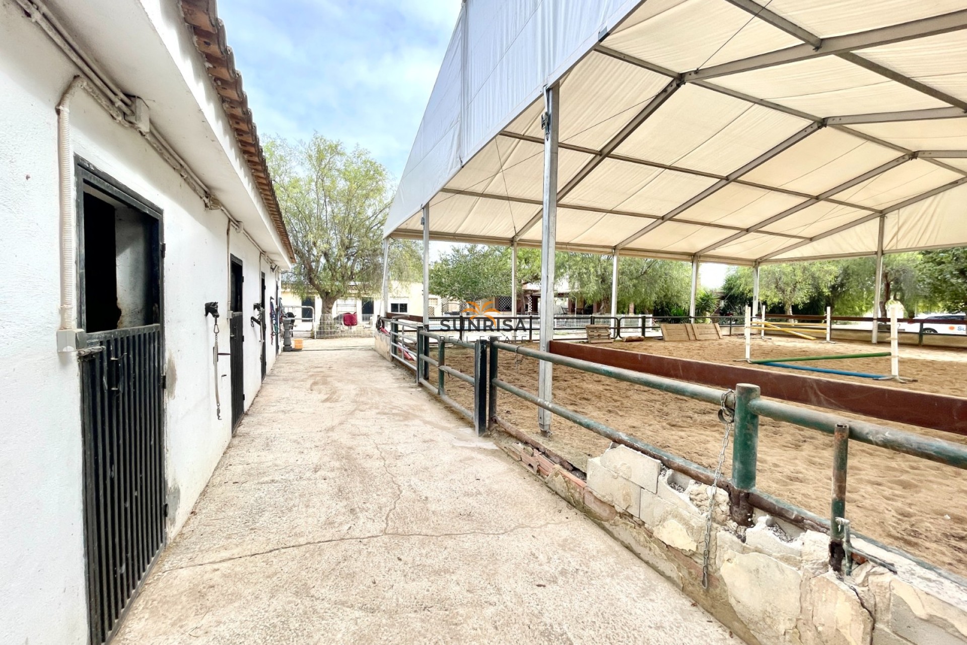 Revente - Finca - Orihuela
