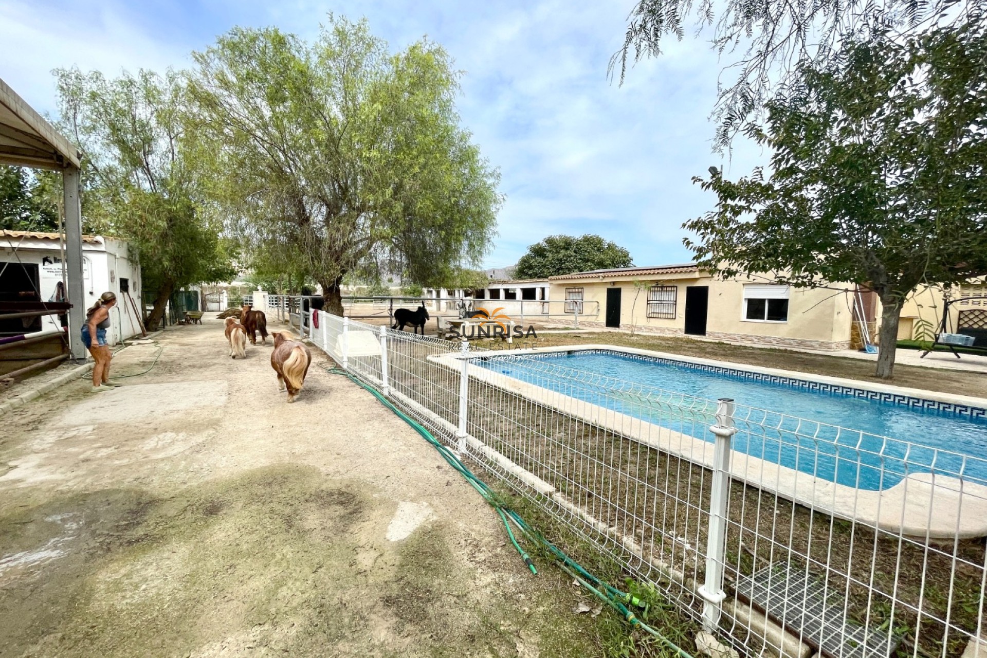 Revente - Finca - Orihuela