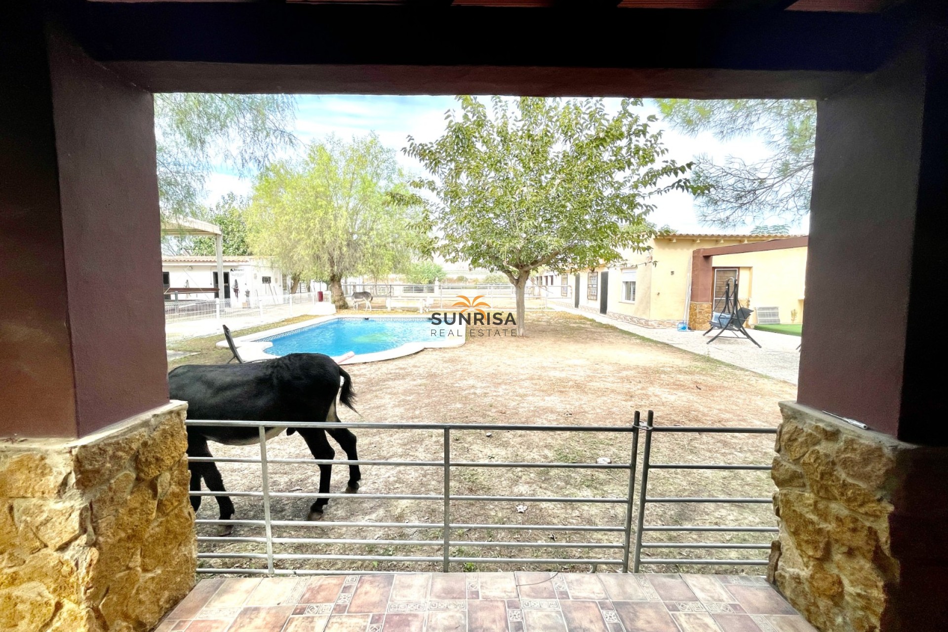 Revente - Finca - Orihuela