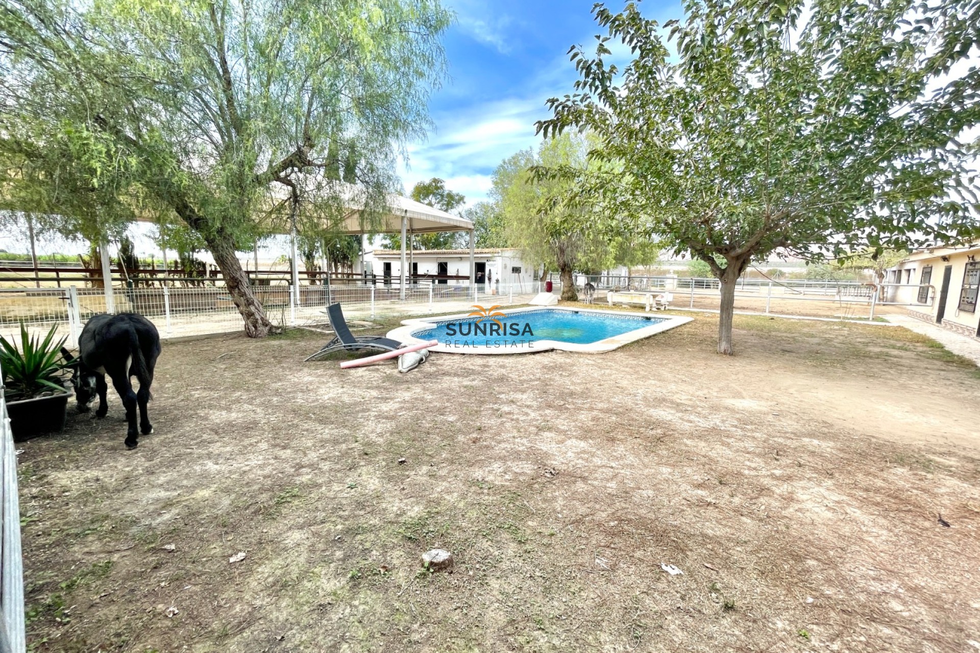 Revente - Finca - Orihuela