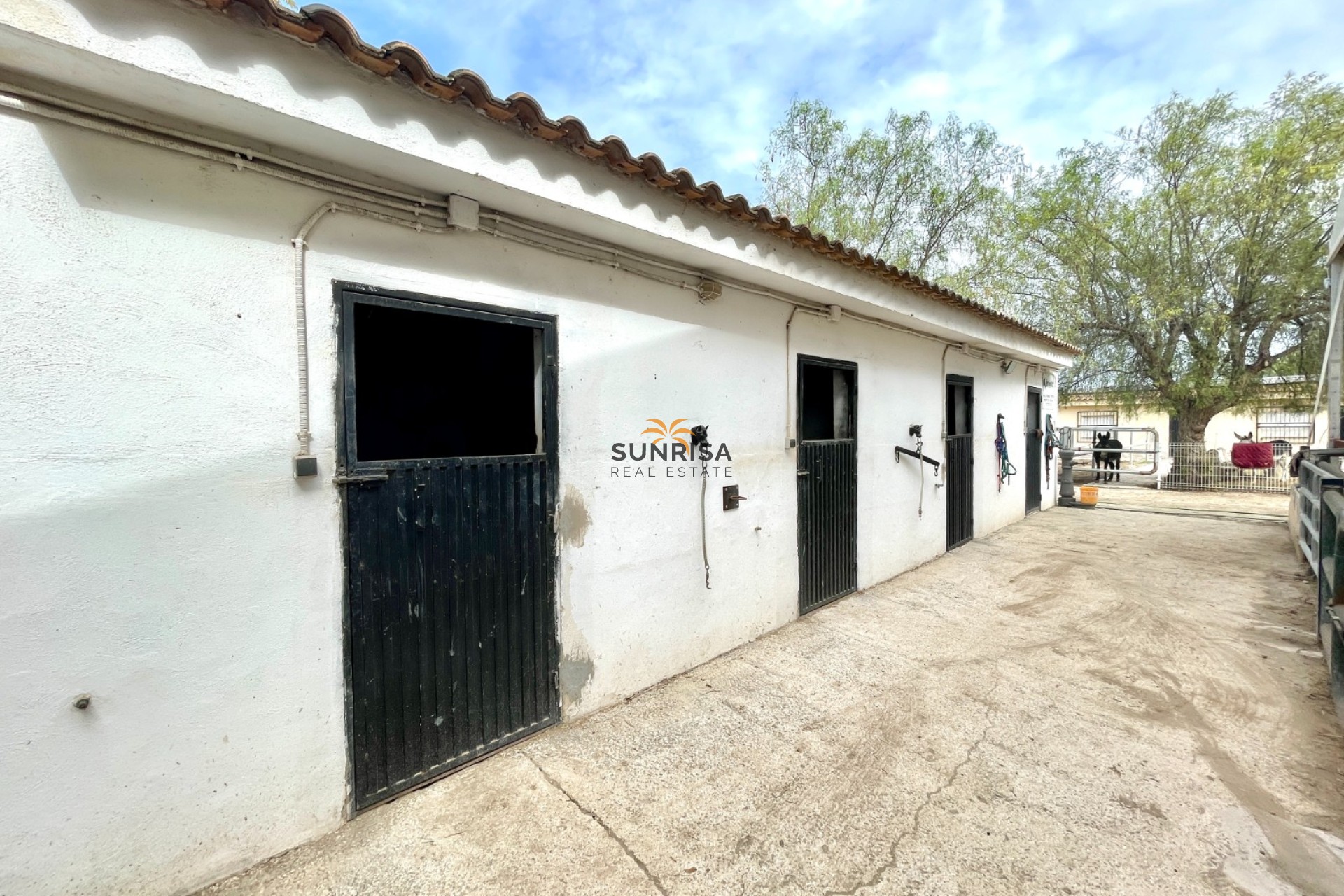 Revente - Finca - Orihuela