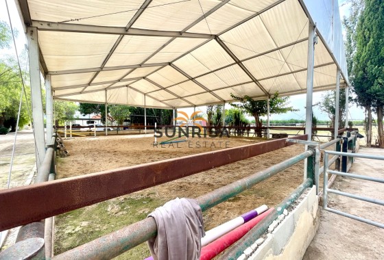 Finca · Resale - Orihuela · Alicante · Spain