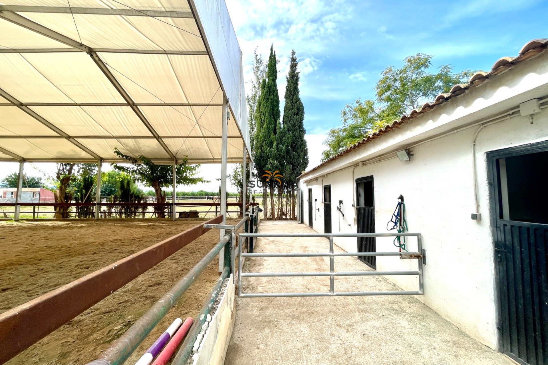 Revente - Finca - Orihuela