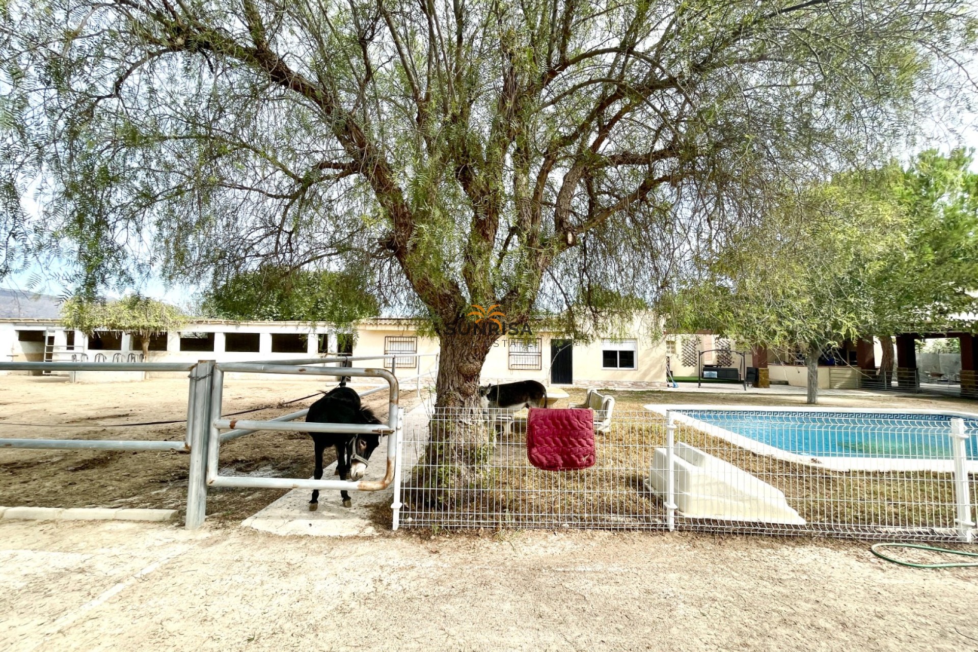 Revente - Finca - Orihuela
