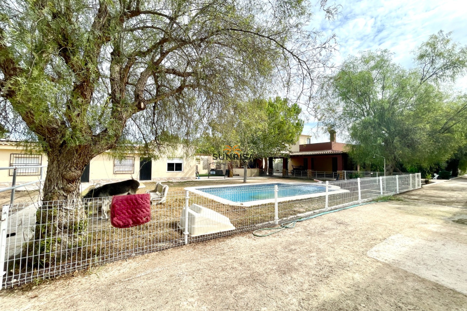 Revente - Finca - Orihuela