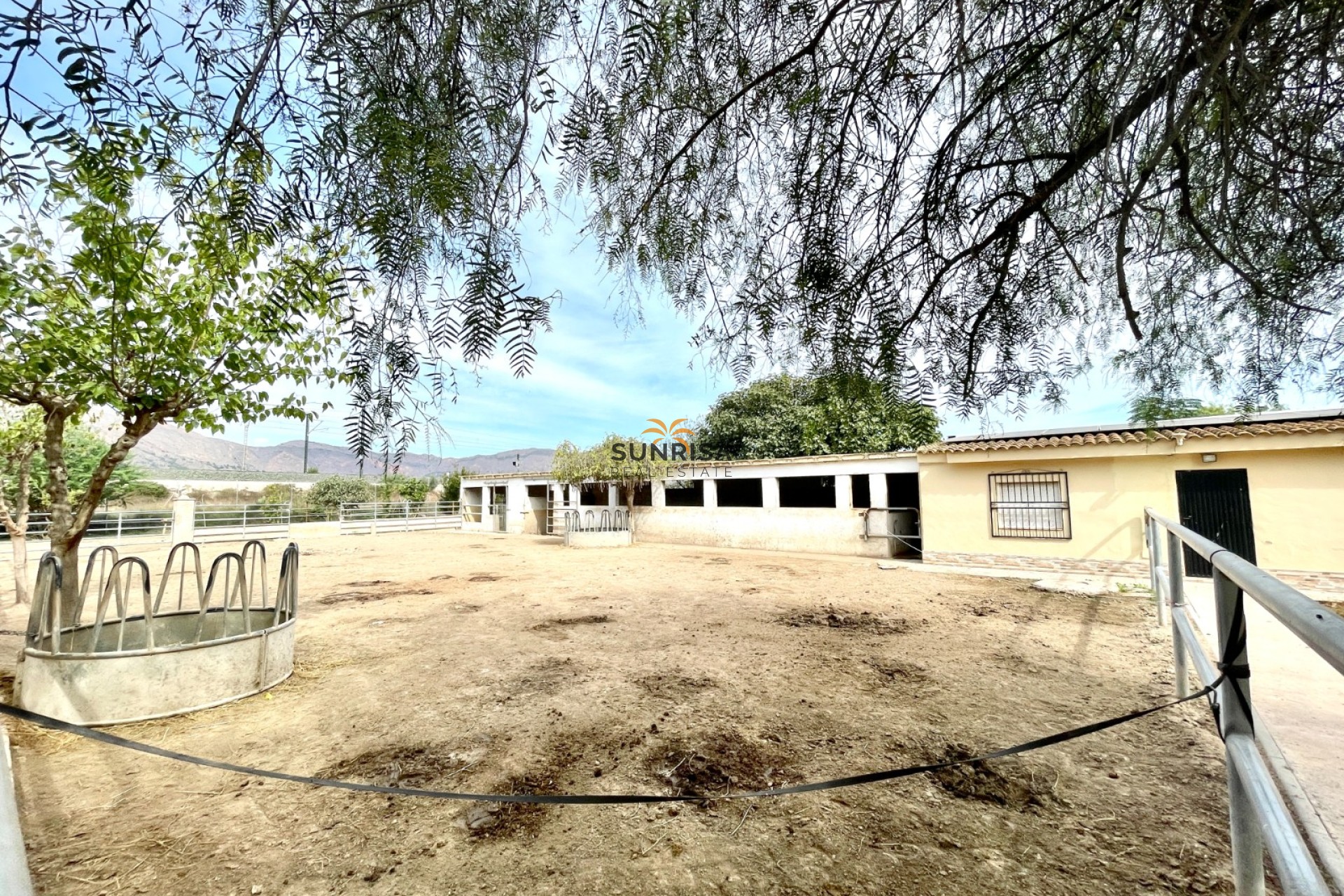 Revente - Finca - Orihuela