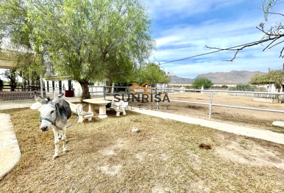 Finca · Resale - Orihuela · Alicante · Spain