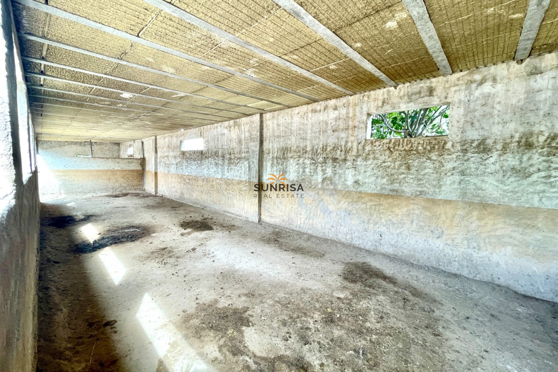 Revente - Finca - Orihuela
