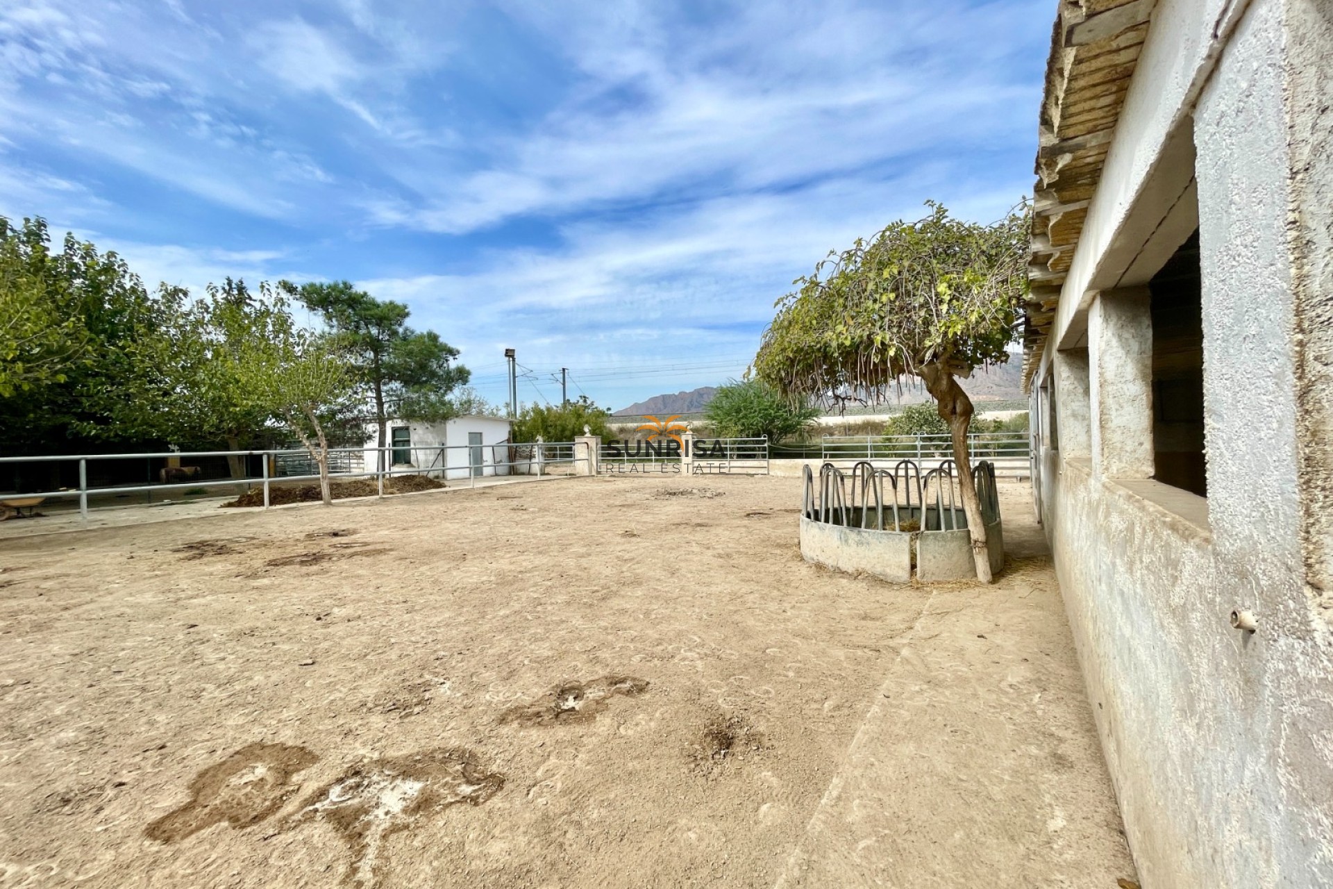 Revente - Finca - Orihuela