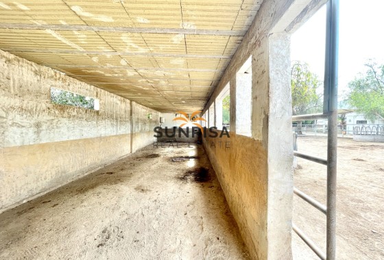 Finca · Resale - Orihuela · Alicante · Spain