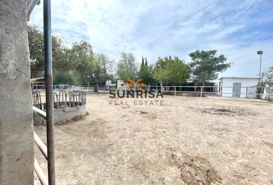 Finca · Resale - Orihuela · Alicante · Spain
