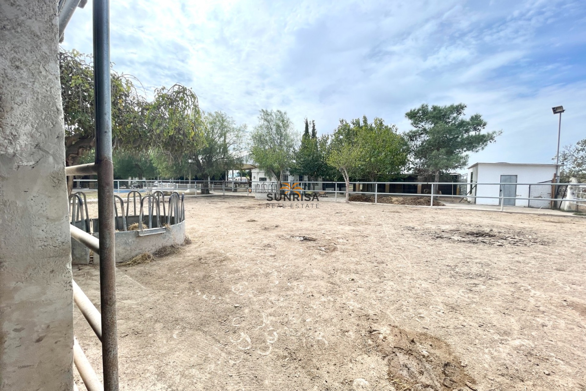 Revente - Finca - Orihuela