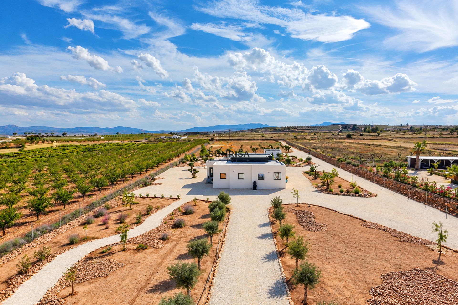 Revente - Villa - Pinoso