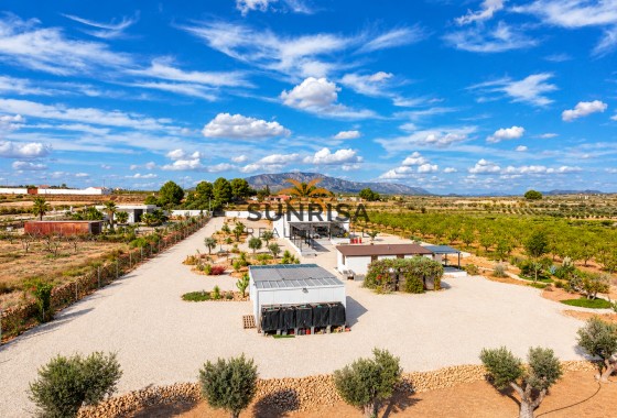 Villa · Revente - Pinoso · Alicante · Espagne