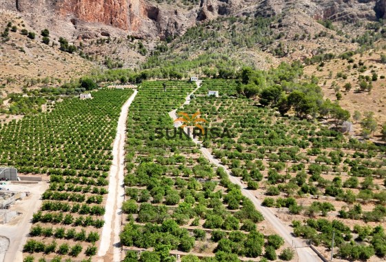 Finca · Revente - Orihuela · Alicante · Espagne