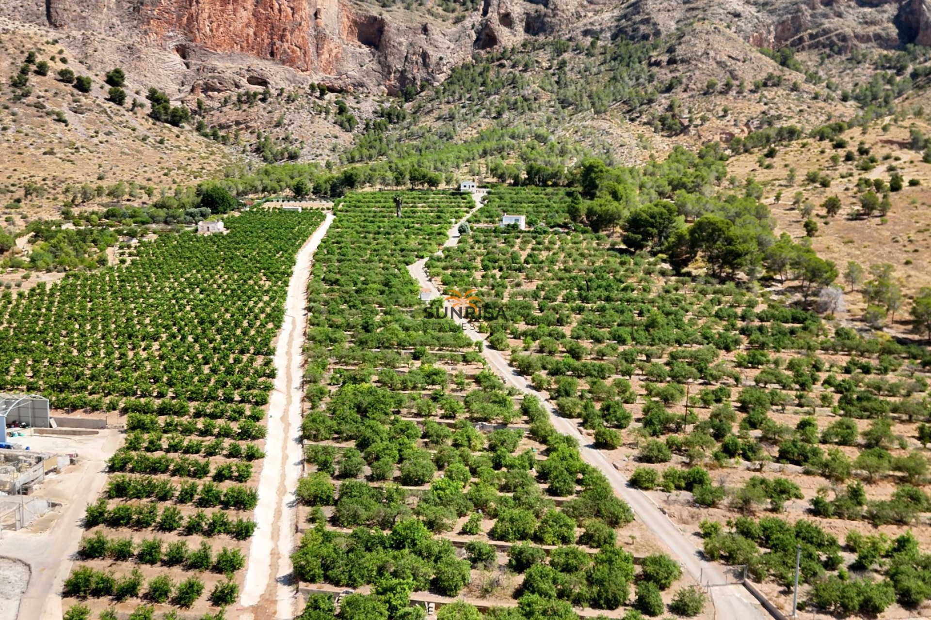 Revente - Finca - Orihuela