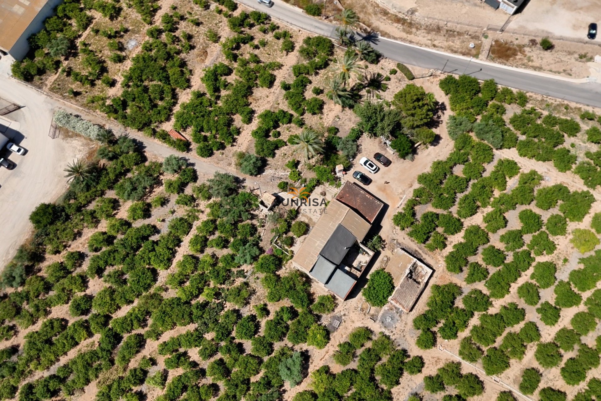 Revente - Finca - Orihuela