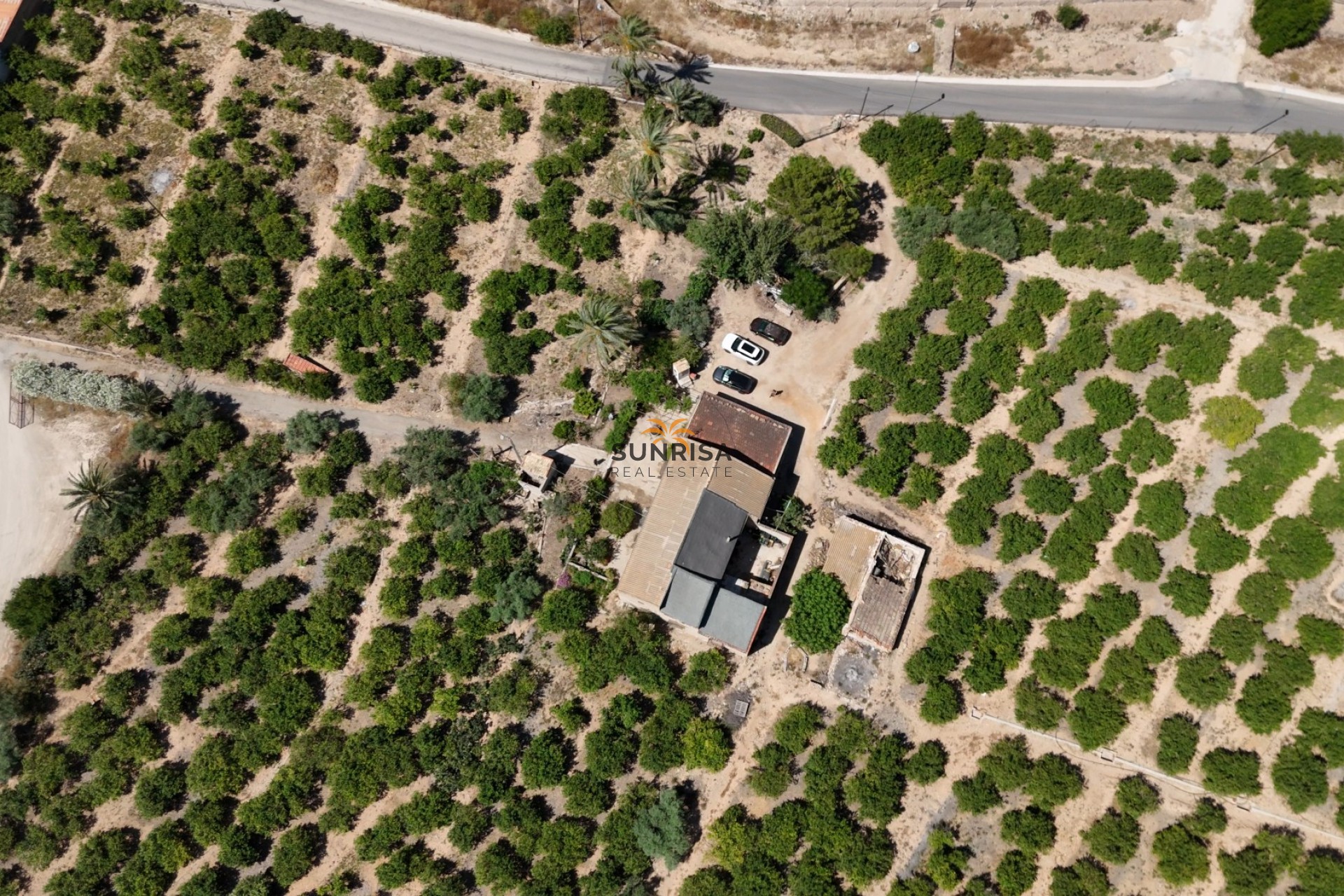 Revente - Finca - Orihuela
