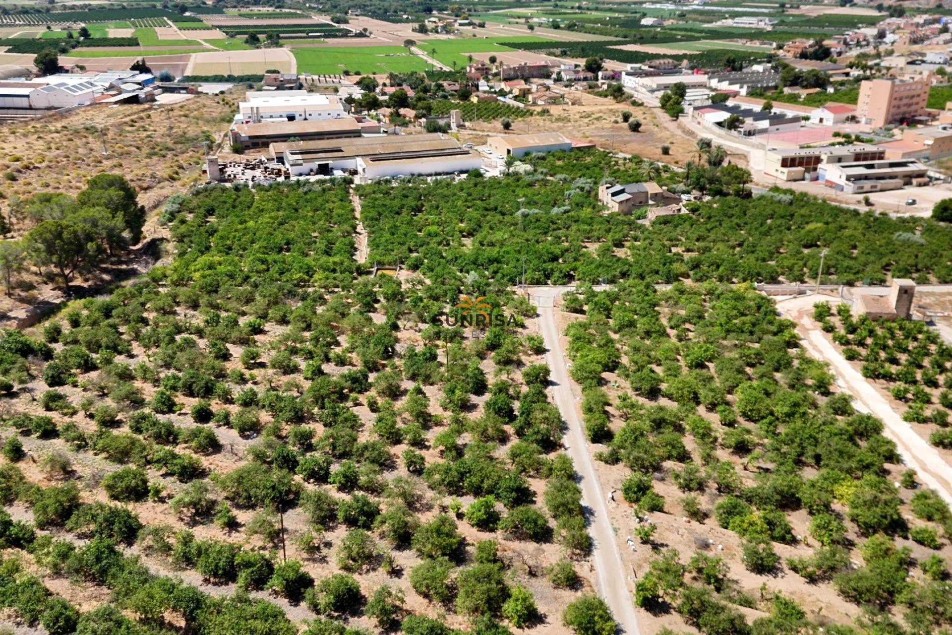 Revente - Finca - Orihuela