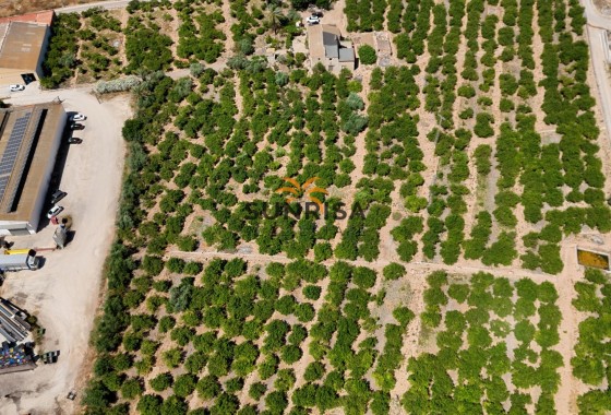 Finca · Revente - Orihuela · Alicante · Espagne