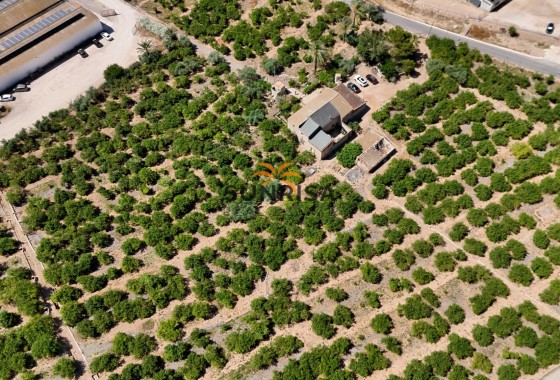 Finca · Revente - Orihuela · Alicante · Espagne