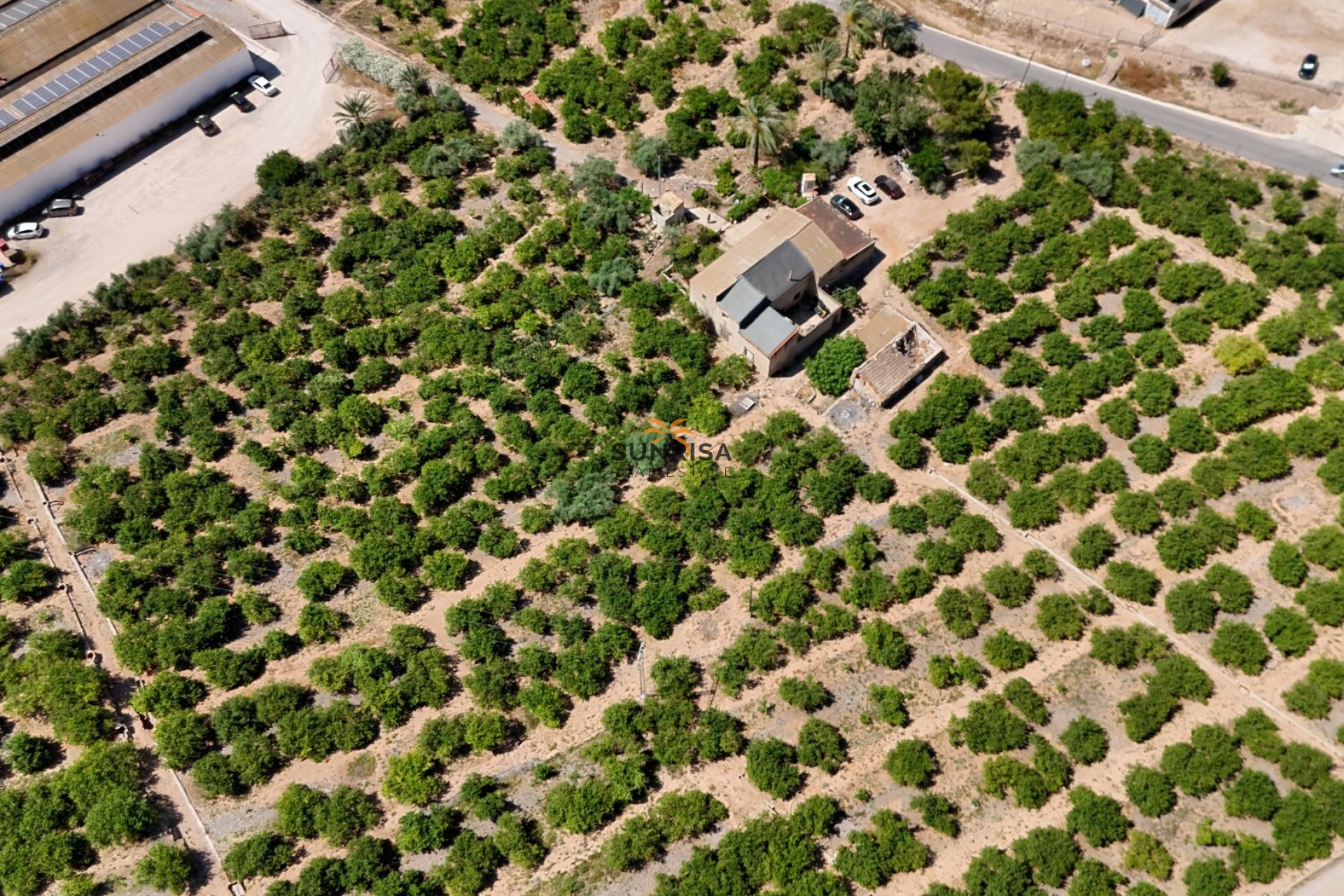 Revente - Finca - Orihuela