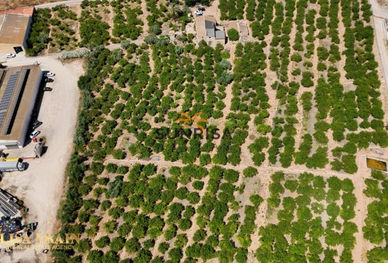 Finca · Revente - Orihuela · Alicante · Espagne