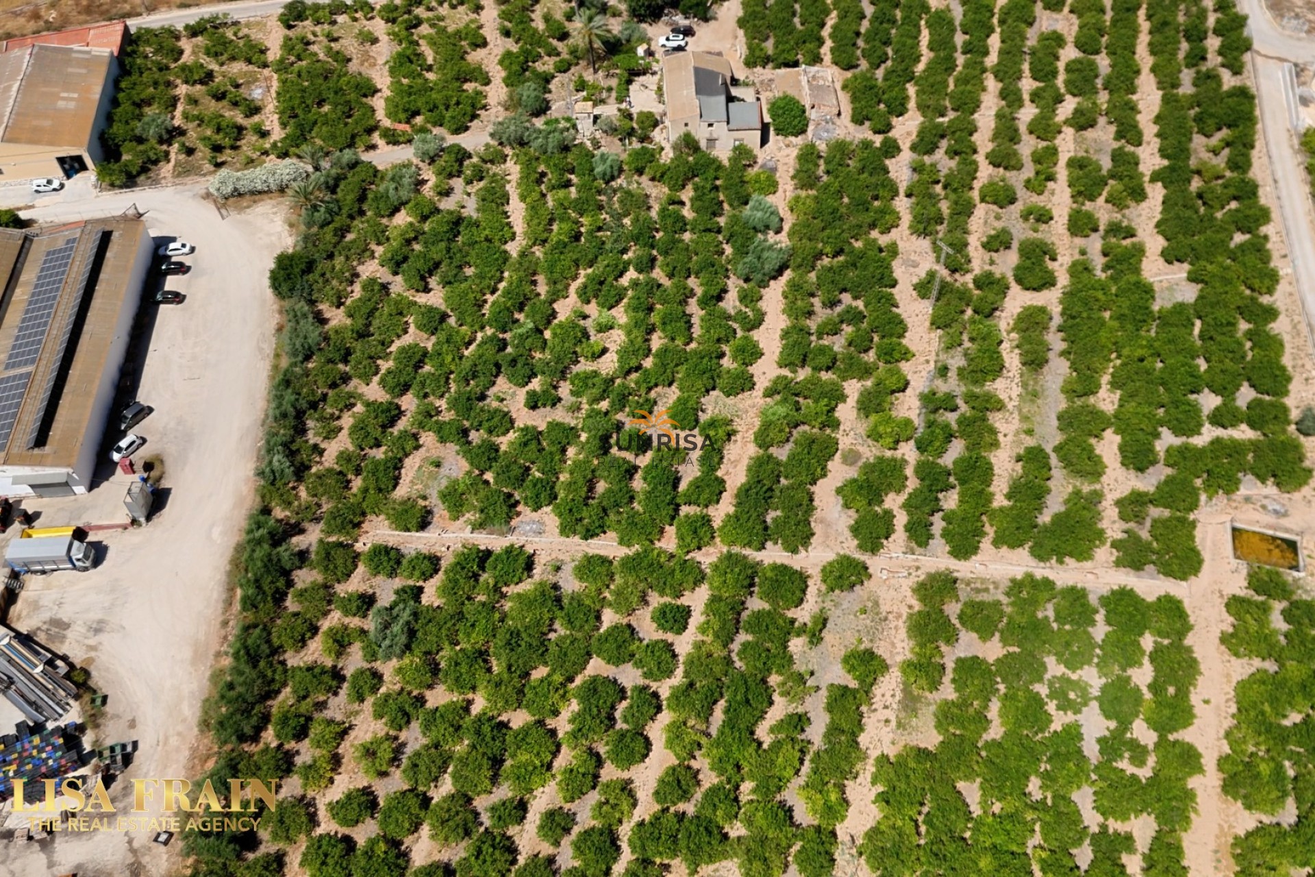Revente - Finca - Orihuela
