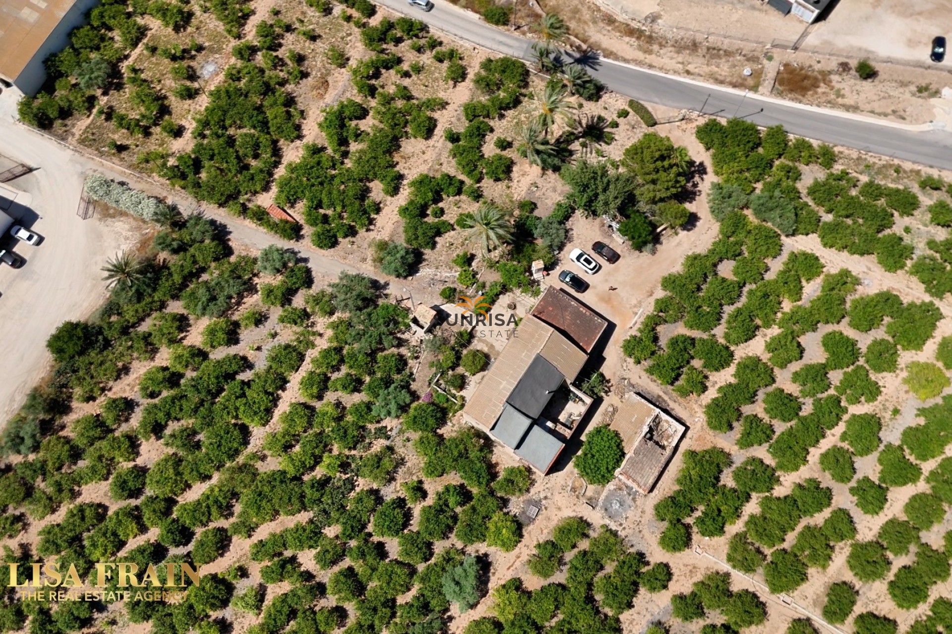 Revente - Finca - Orihuela