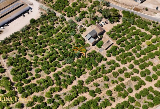 Finca · Revente - Orihuela · Alicante · Espagne