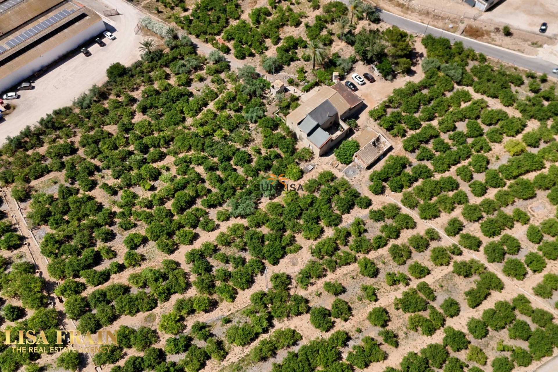 Revente - Finca - Orihuela