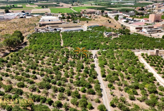Finca · Revente - Orihuela · Alicante · Espagne