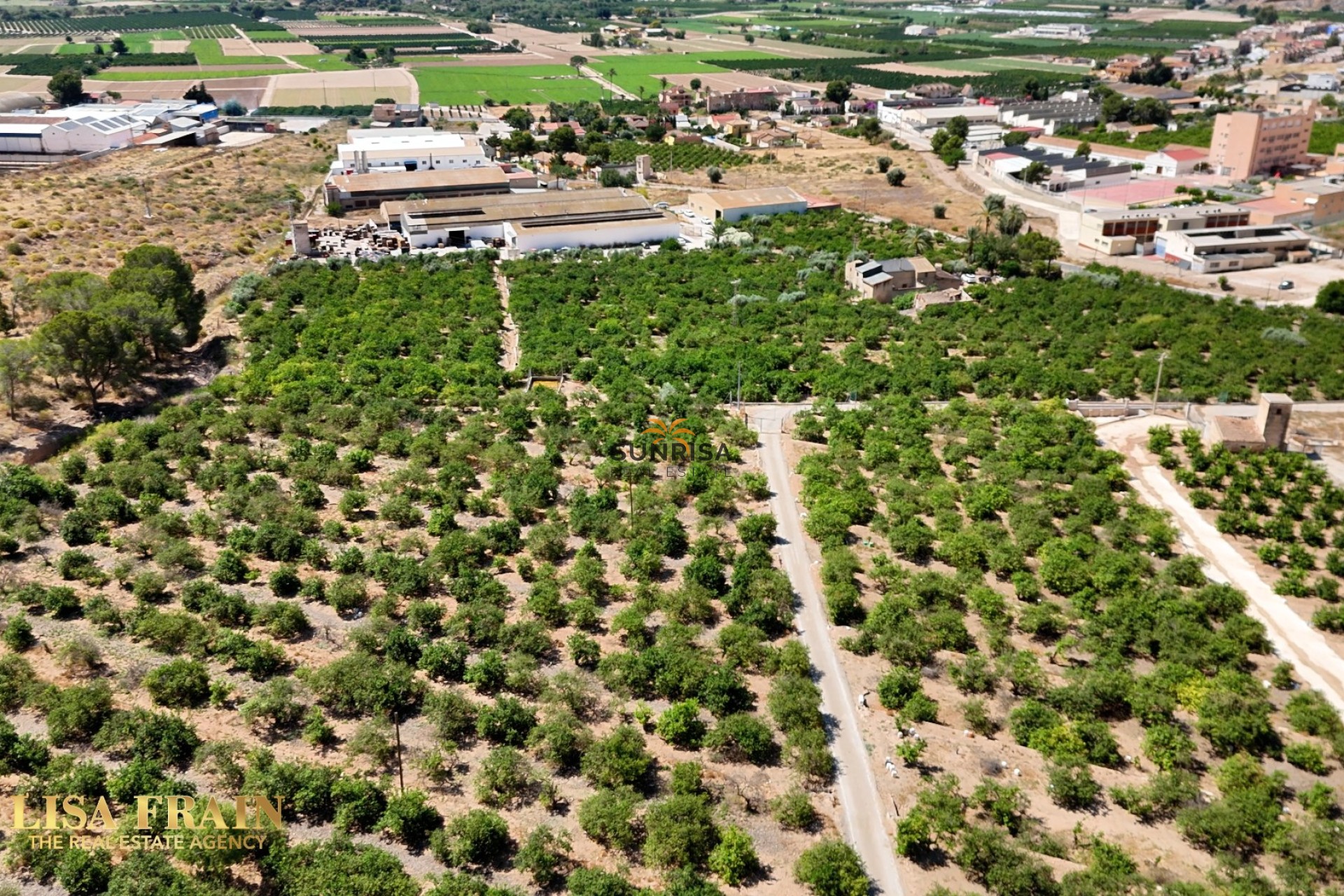 Revente - Finca - Orihuela