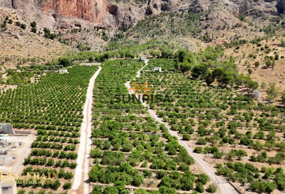 Finca · Revente - Orihuela · Alicante · Espagne