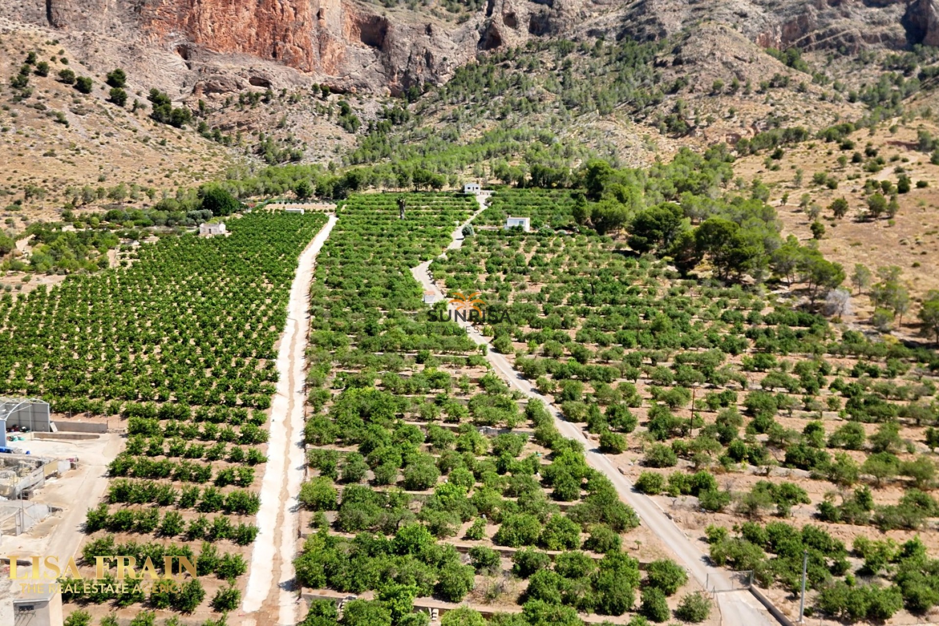 Revente - Finca - Orihuela