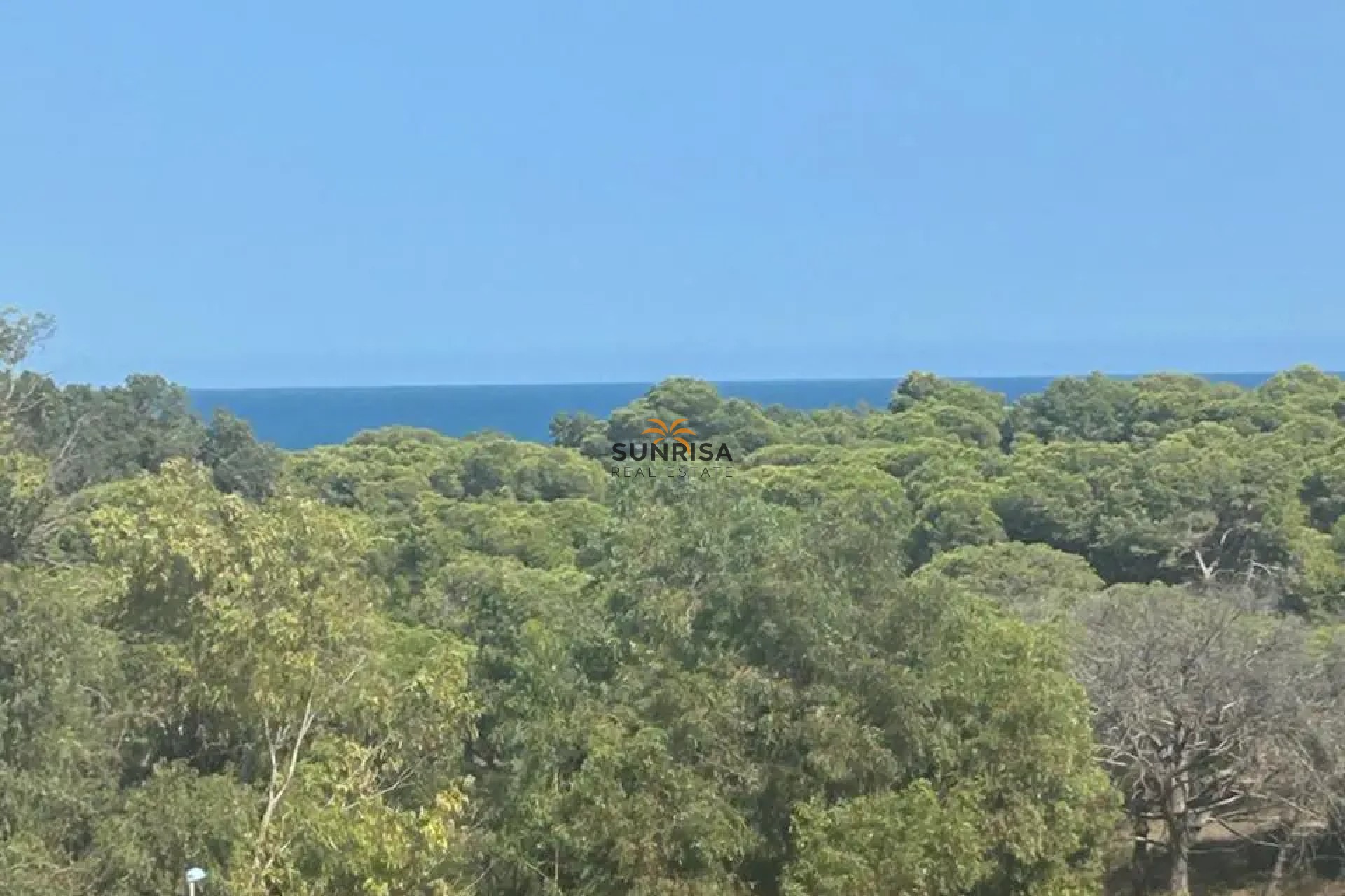 Revente - Appartement - Guardamar del Segura