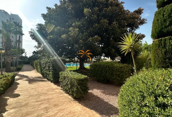 Appartement · Revente - Guardamar del Segura · Alicante · Espagne