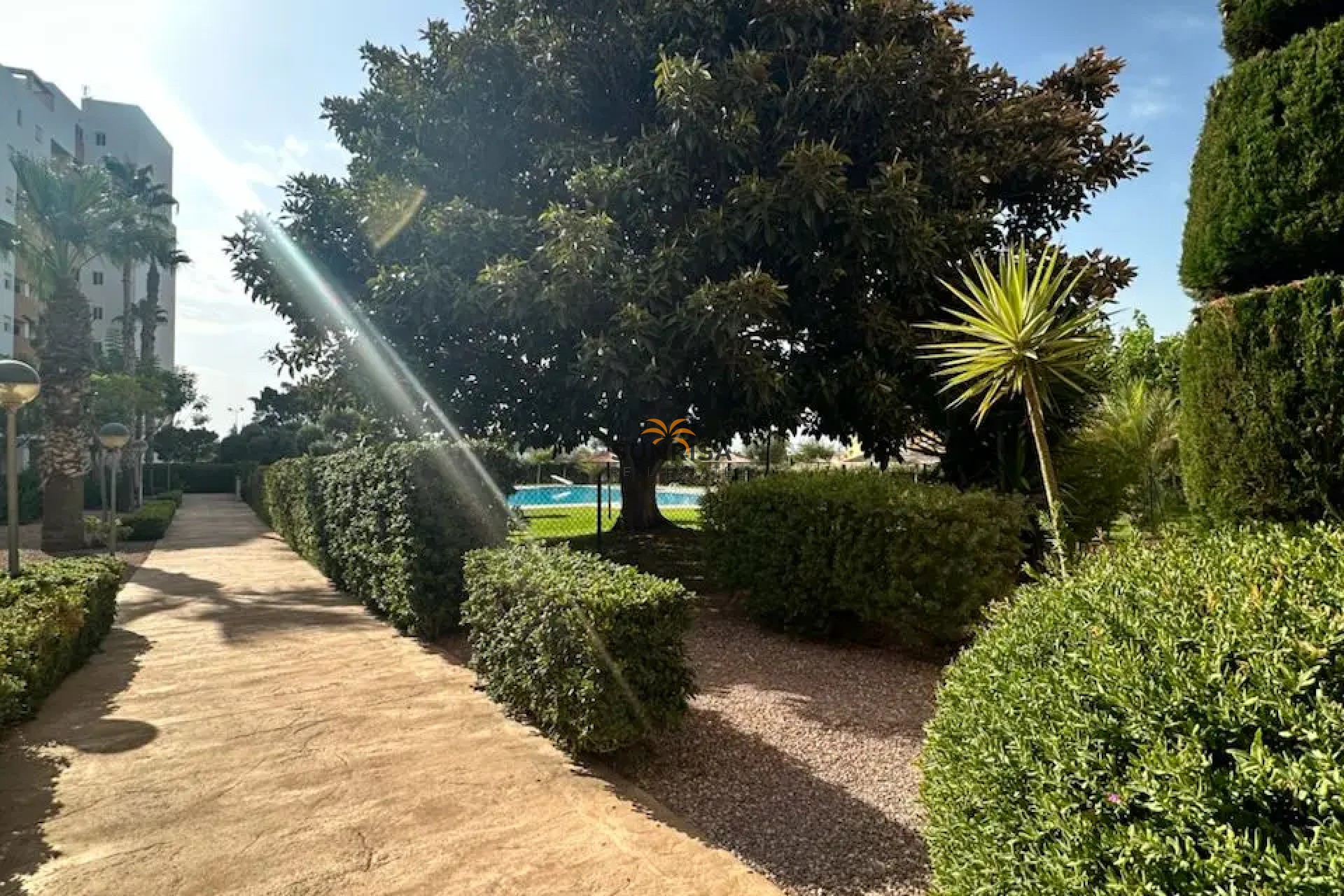 Revente - Appartement - Guardamar del Segura