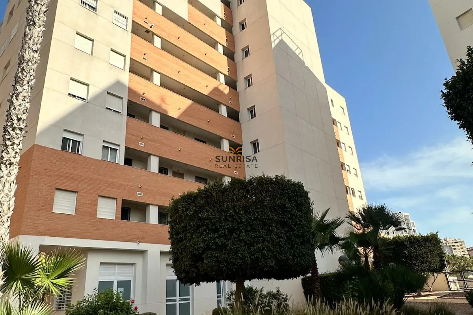 Revente - Appartement - Guardamar del Segura