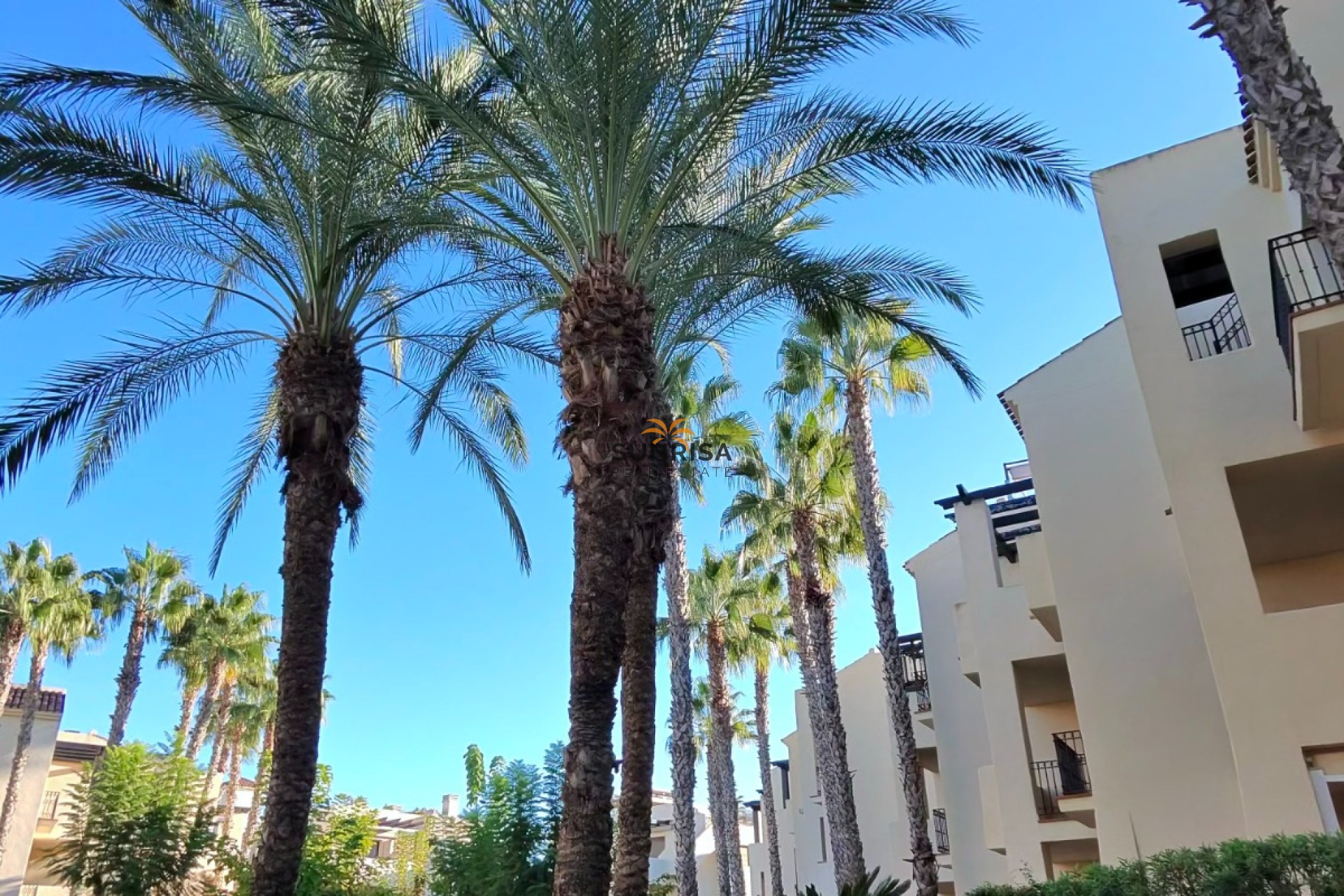 Revente - Appartement - San Javier