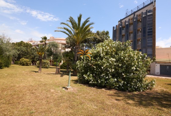 Appartement · Revente - Torrevieja · La Mata pueblo · Alicante · Espagne