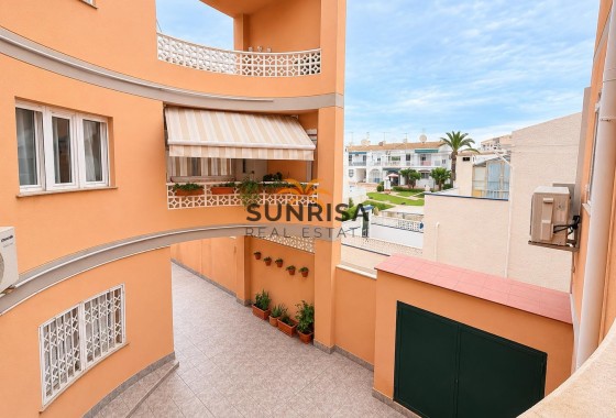 Studio · Revente - Torrevieja · Estacion de autobuses · Alicante · Espagne
