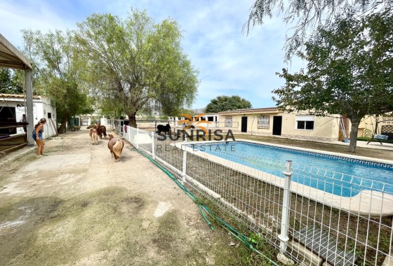 Finca · Revente - Orihuela · Alicante · Espagne