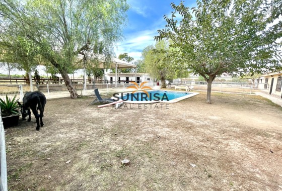 Finca · Revente - Orihuela · Alicante · Espagne