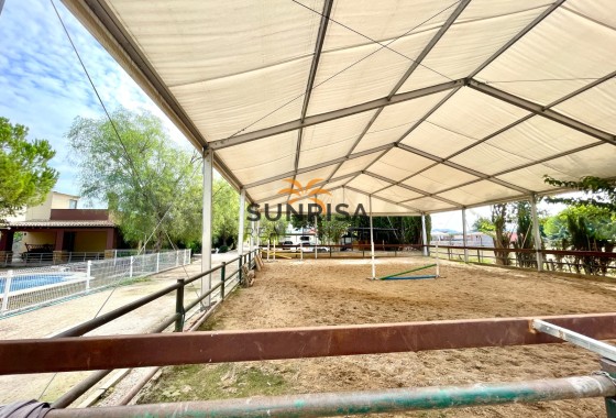Finca · Revente - Orihuela · Alicante · Espagne