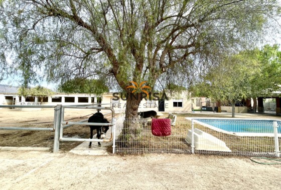 Finca · Revente - Orihuela · Alicante · Espagne