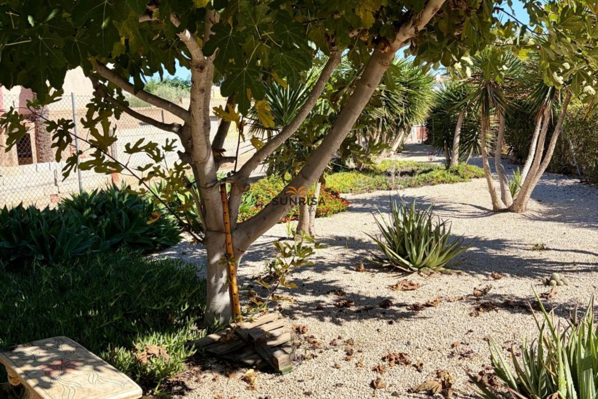 Herverkoop - Appartement - Orihuela
