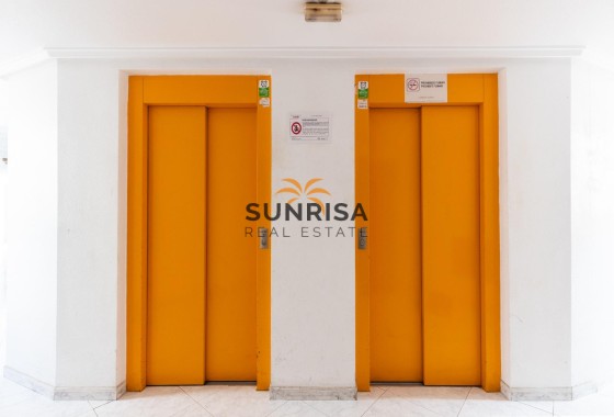 Penthouse · Herverkoop - Torrevieja · Estacion de autobuses · Alicante · Spanje