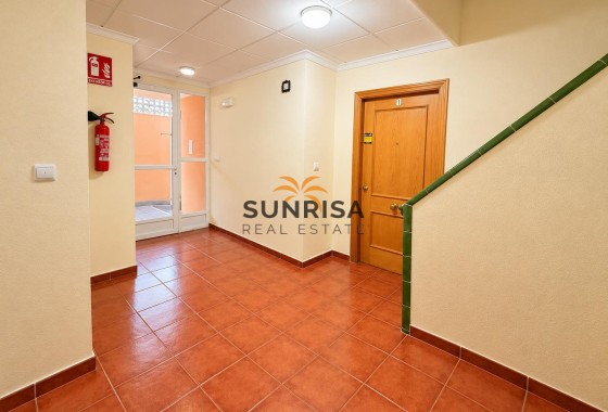 Studio · Herverkoop - Torrevieja · Estacion de autobuses · Alicante · Spanje